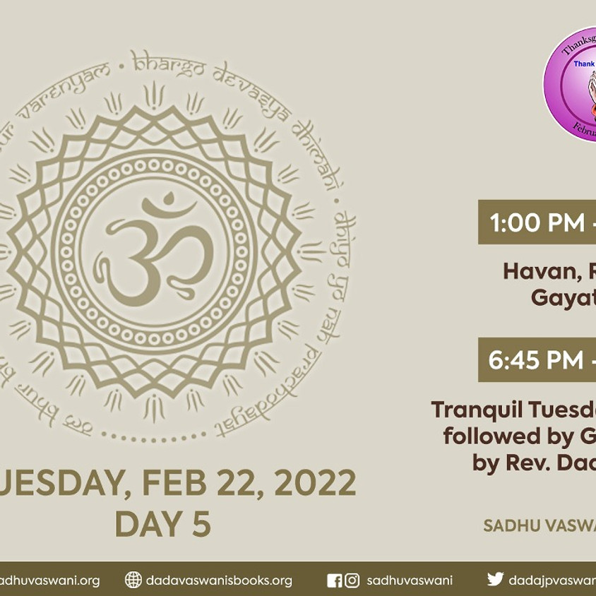 Thanksgiving Week - Day 5 | Tranquil Tuesdays | Meditation on Gratitude