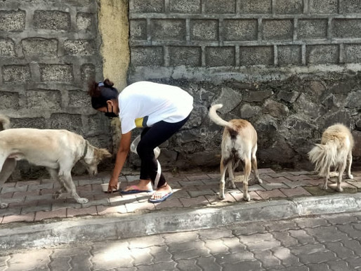 In Service of the Voiceless Ones