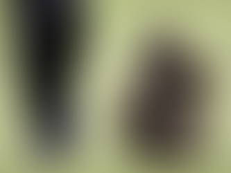 Westminster Kennel Club Dog Show postponed as COVID-19 surges in New York