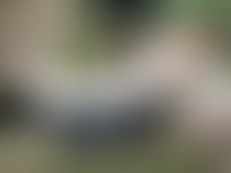 Pandemic bites animal shelters: More rescues, fewer helping hands, dwindling donations