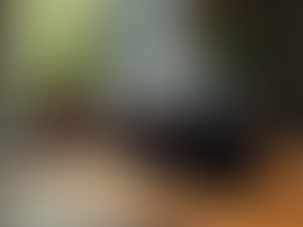 Fotografía Personalizada: Tu Historia en Imágenes Únicas