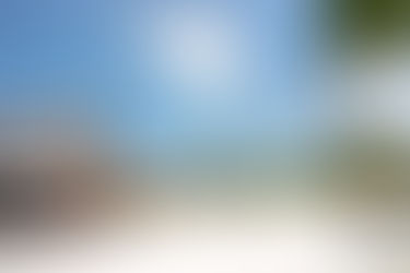 A Secret Luxurious Escape to Cancun, Mexico & Private Swims with Big Fish 