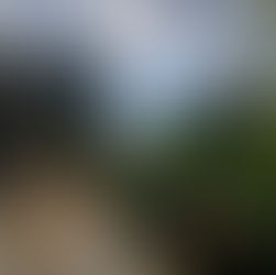 Luxury in the Wild: An Honest Review of Glamping at Wavefront Teak Tents in Potrero, Costa Rica