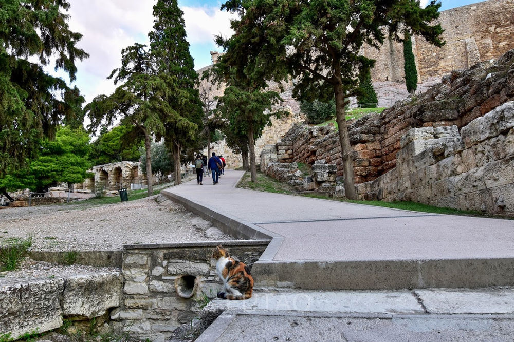 Climbing the Acropolis A Travelogue and Guide