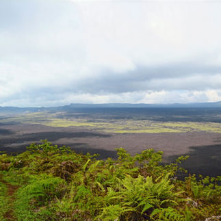 Hiking Sierra Negra Volcano: A Lesson in Patience