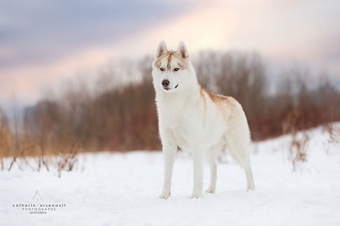 Blu stack front - 1 an.jpg