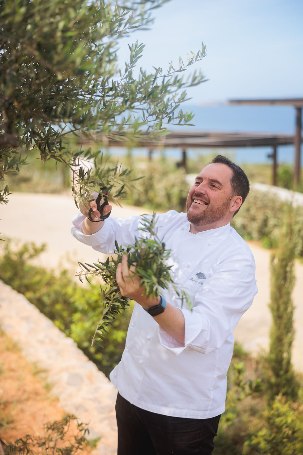 Chef Bertrand Valegeas