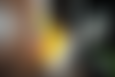 Miami Vibes Magazine, Eat Like a Pro, 4 Rock Miami