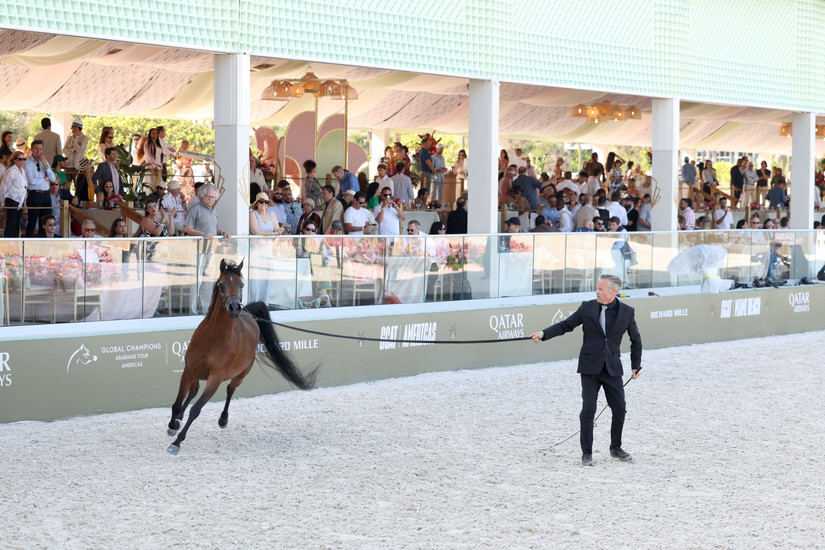 lobal Champions Arabians Tour in Miami Beach