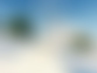 Miami Winter Art Exhibitions Heat Up with LaChapelle & More