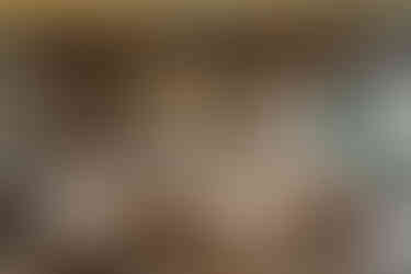 Formula 1 Miami nightlife CASA NEOS rooftop experience