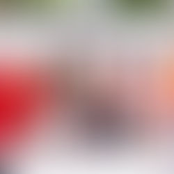 Glamour and Elegance: 2025 Pegasus World Cup "Off To The Races" Fashion Show