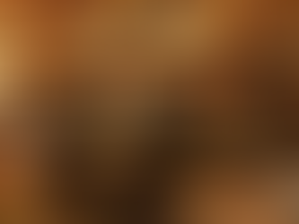 Oro Restaurant Miami Unveils Glamorous Golden Dining