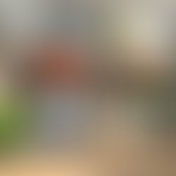 Château Fillon: Bold Bordeaux Wines with Haitian Soul