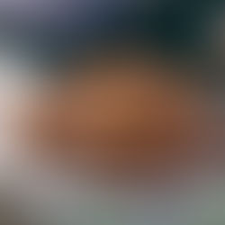 A Festival of Chocolate at Fairchild: Miami’s Sweetest Weekend