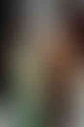 Miami Vibes Magazine, Eat Like a Pro, 4 Rock Miami