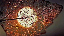 Passi nella notte con Nazim Hikmet