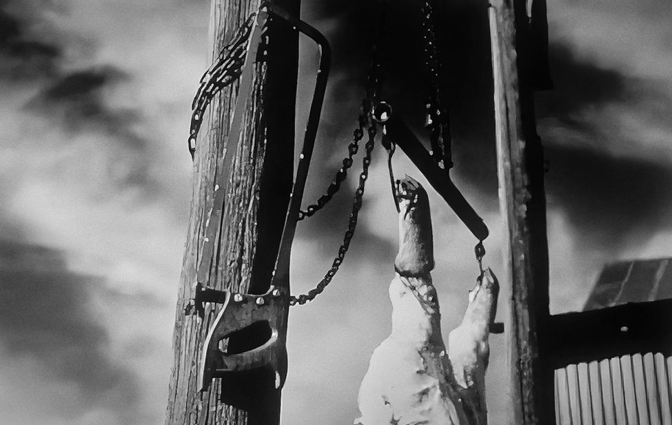 Documentary photograph from a traditional hog killing in North Carolina.