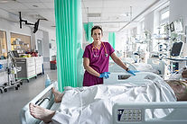 What Do We Really Dream Of