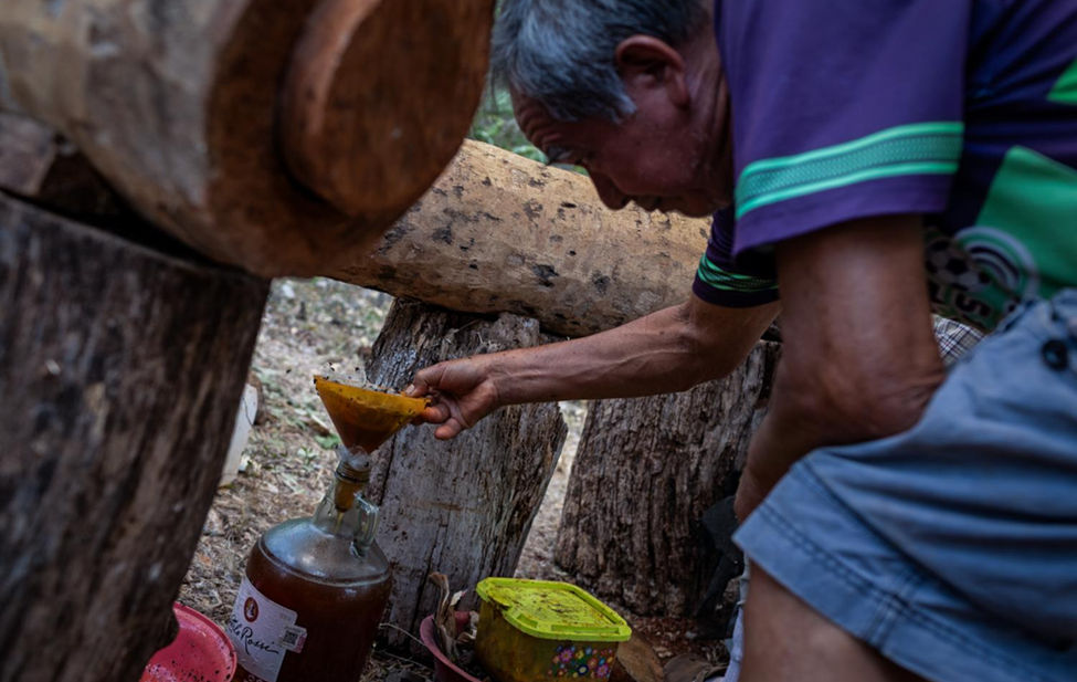 Documentary photograph of a honey farm in Mexico.