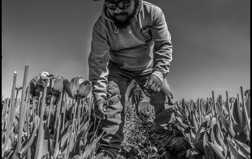 Documentary photograph of indigenous farmworkers.