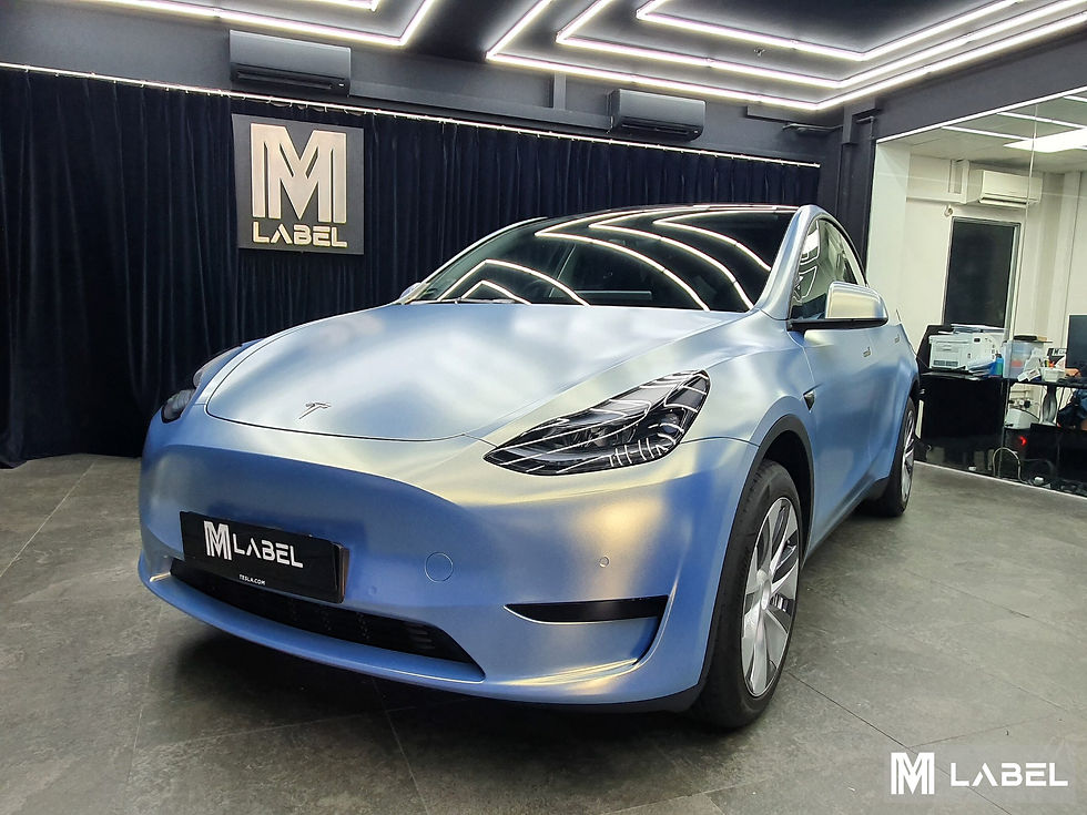 Model Y