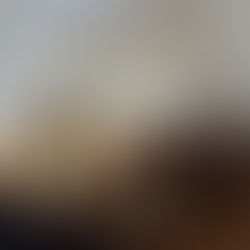 Nikola Tesla u gostima