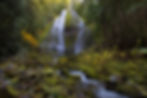 Mckenzie river fall