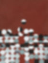 Wilhemina Barnes-Graham- Celebration Birthday-Indian Red Black-white_edited.jpg