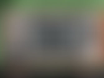 The Revolution Will Not Be Televised, 2025