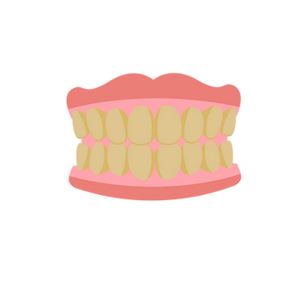 5.png