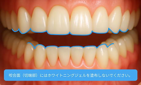 診療結果 (1).png