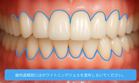 診療結果 (1).png