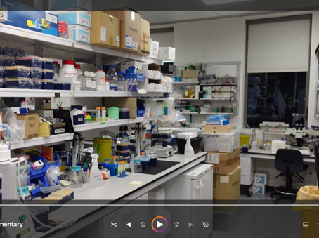 The Pellegrini Lab - Short film