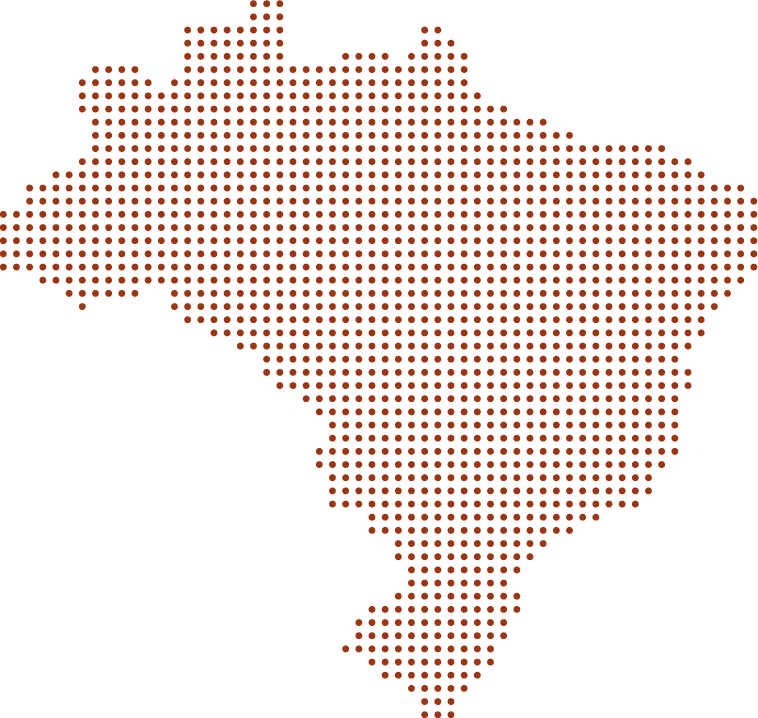 BRASIL.webp