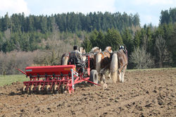 UTILISATION AGRICOLE