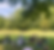 Yoga & Kräuter - Ein Tagesretreat in der Eifel