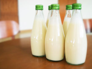 PLANT-BASED MILKS: A recent interview with Weight Watchers