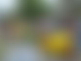 Festival fun with the Train