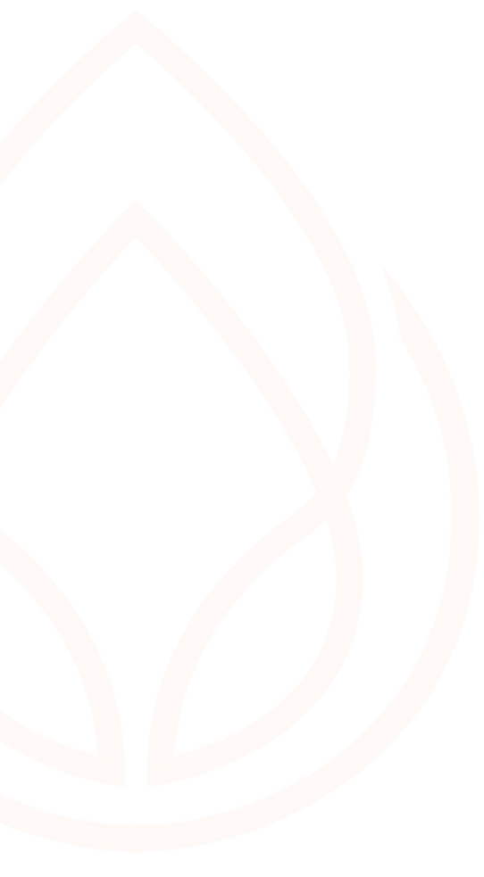 Sponya air-05.png