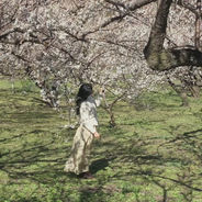 Sanctuary of the Day