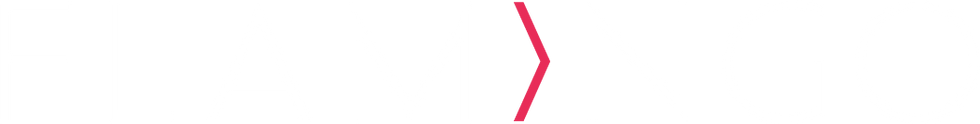 FLAMINGO Logo White.png