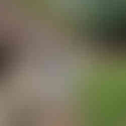 Mit einem Grinsen im Gesicht: eine ganze Flasche Tuba für den Abend!