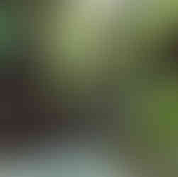 Baby Sea-Bird - nur ein paar Tage alt <3