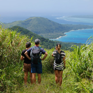 Wunderschöner Blick auf Pele Island und die Bucht