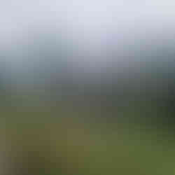 Verfallene und verlassene Häuser sind hier überall zu finden