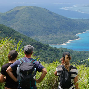 Wo Meerjungfrauen Seegras fressen