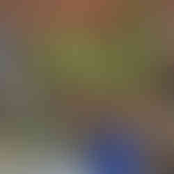 In einer Hütte im Bush wird der eigene Insel-Tabak getrocknet