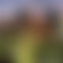 [여행지/일리노이 Chicago/분수대] Buckingham Fountain