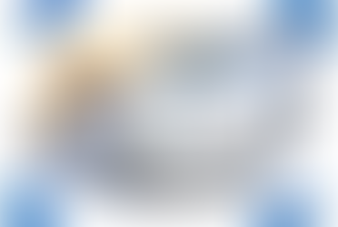 Classificação fiscal de mercadorias; aspectos fundamentais